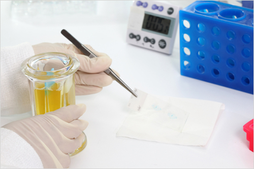  preclinical toxicology testing